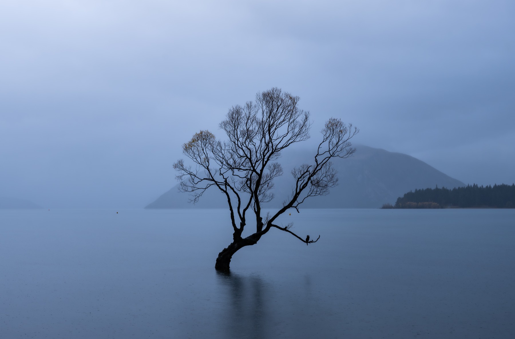 新西兰 第 6 张照片